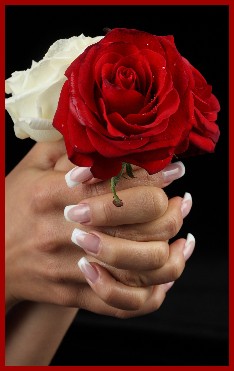 Coiffeur Simone Nail Design